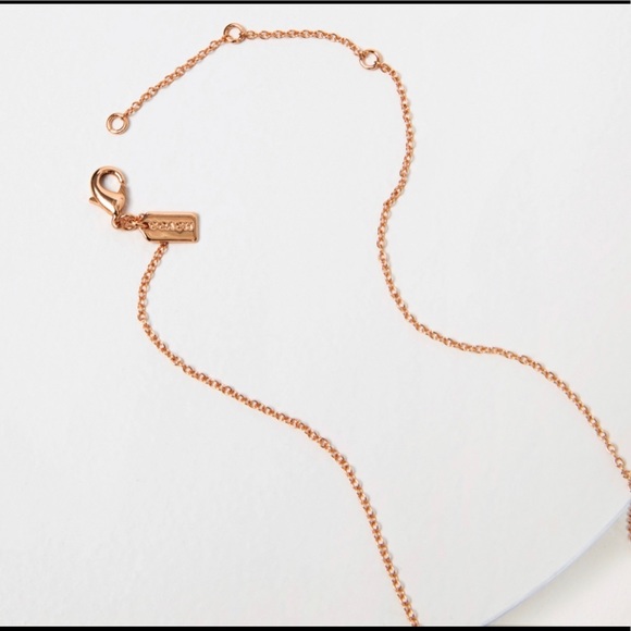 Coach Necklace and Earrings Set - Picture 8 of 11